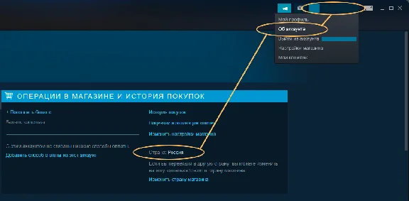 🎁Wasteland 3 Digital Deluxe🌍МИР✅АВТО