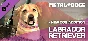 METAL DOGS NEW DOG ADDITION:LABRADOR RETRIEVER DLC