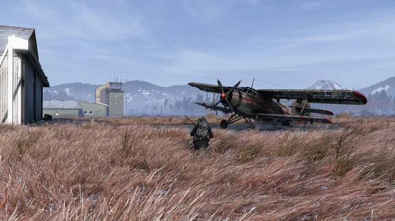 ⚡️DayZ Frostline | АВТОДОСТАВКА [Россия Steam Gift]