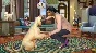 The Sims 4 Cats & Dogs STEAM GIFT•RU⚡️АВТО-ДОСТАВКА 0%